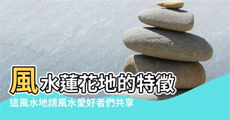 蓮花水缸風水|【蓮花水缸風水】蓮花水缸風水解密：招財進寶、旺運化煞的家居。